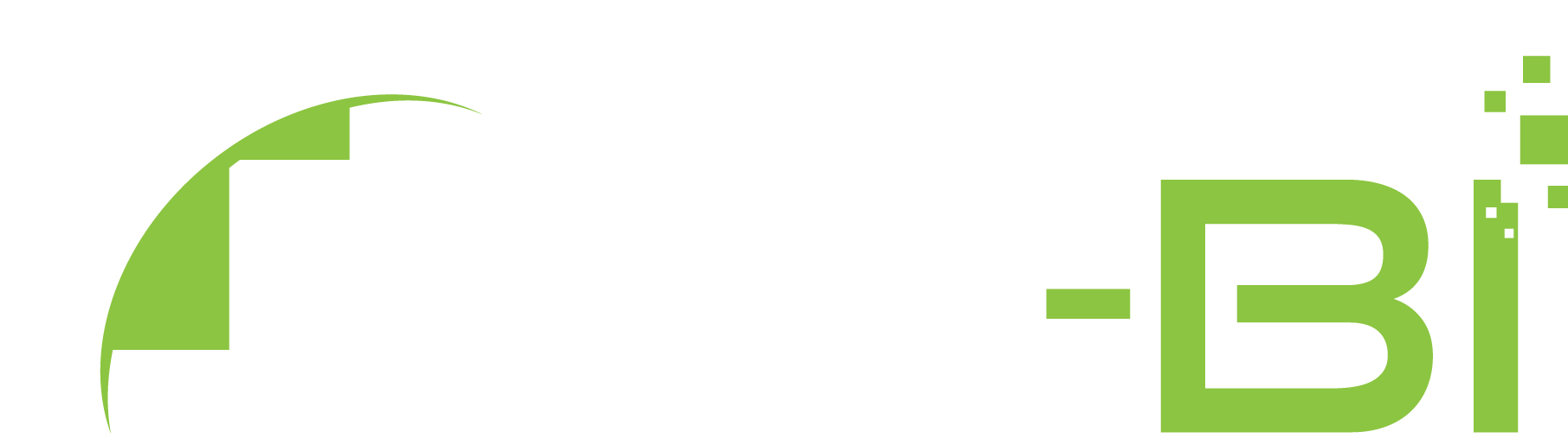 NET-BI
